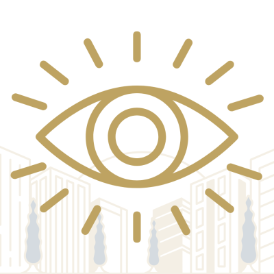 vision